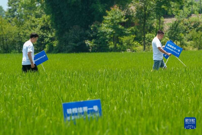 从实验室到田野，用科技追逐梦想