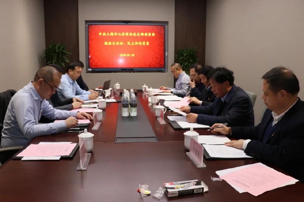 上海市山东商会党总支召开专题组织生活会和开展民主评议党员活动